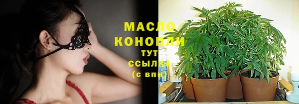 ПСИЛОЦИБИНОВЫЕ ГРИБЫ Новозыбков