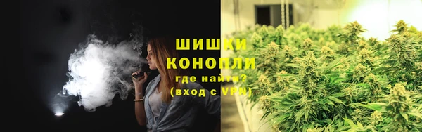 ПСИЛОЦИБИНОВЫЕ ГРИБЫ Новозыбков