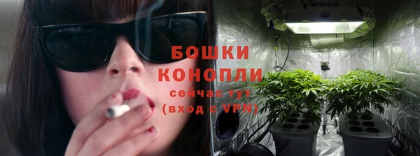 ПСИЛОЦИБИНОВЫЕ ГРИБЫ Новозыбков