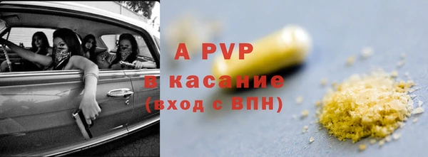 ПСИЛОЦИБИНОВЫЕ ГРИБЫ Новозыбков