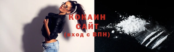 стафф Новодвинск