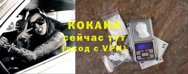 стафф Новодвинск