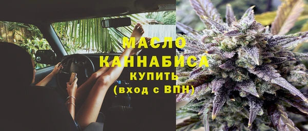 стафф Новодвинск