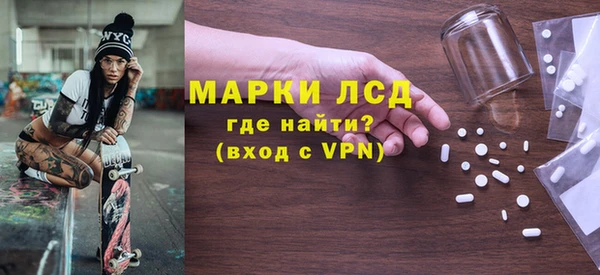 ПСИЛОЦИБИНОВЫЕ ГРИБЫ Новозыбков