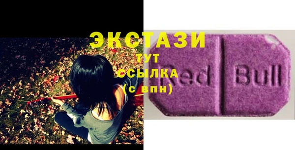 стафф Новодвинск
