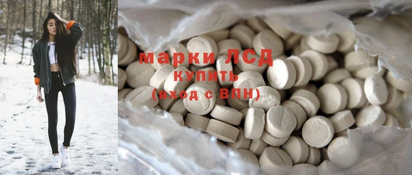 стафф Новодвинск