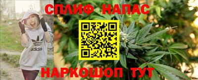 бошки Камышлов