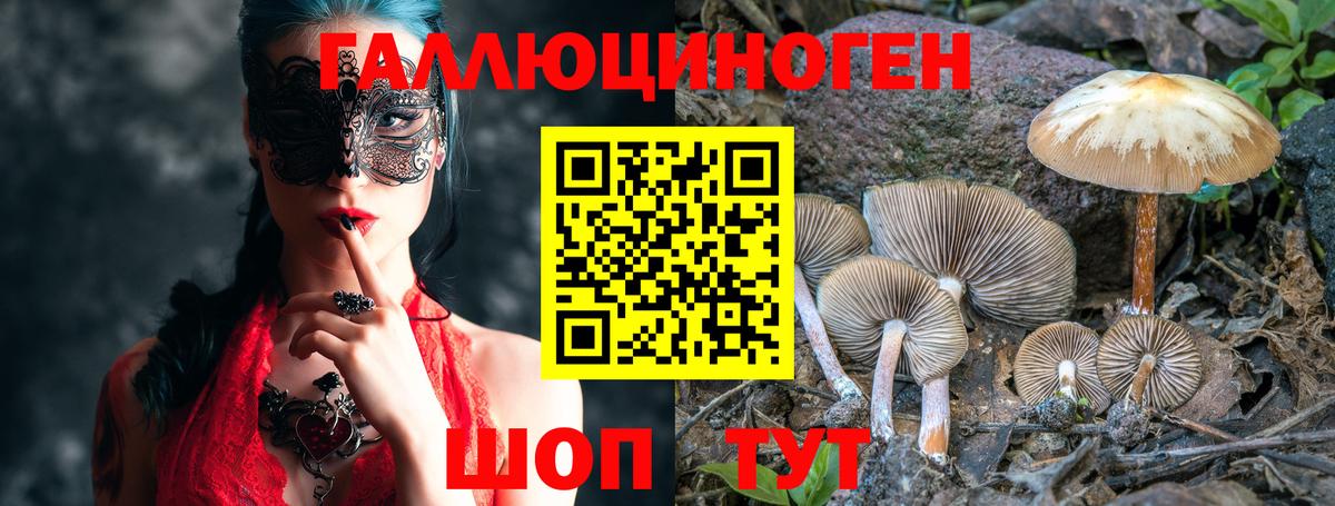 Псилоцибиновые грибы GOLDEN TEACHER  Вход с VPN  Галлюциногенные грибы Cubensis  Чебоксары 